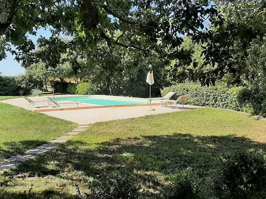 Immagine 23 di Casa colonica in vendita  a Monteverdi Marittimo