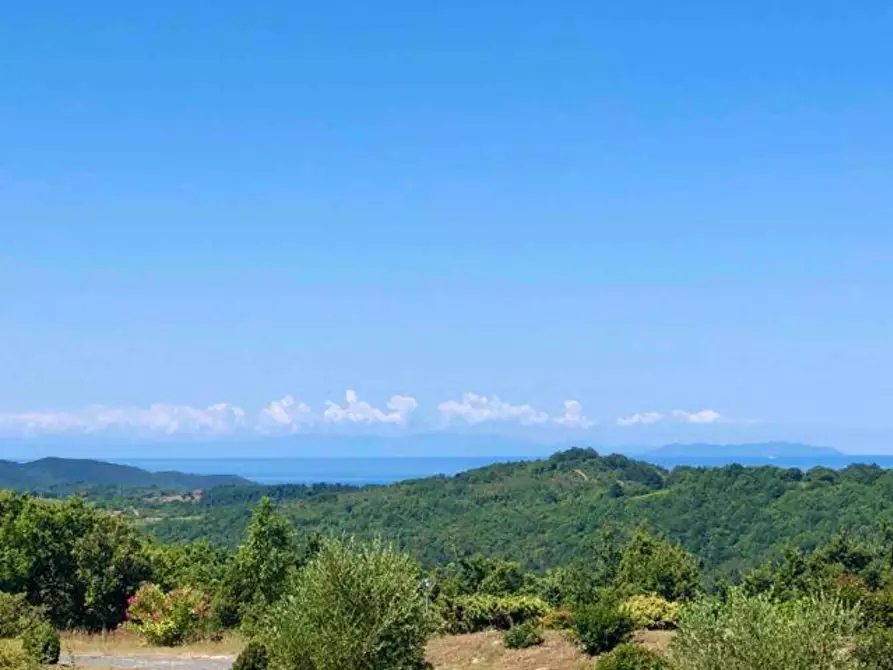 Immagine 17 di Casa colonica in vendita  a Monteverdi Marittimo