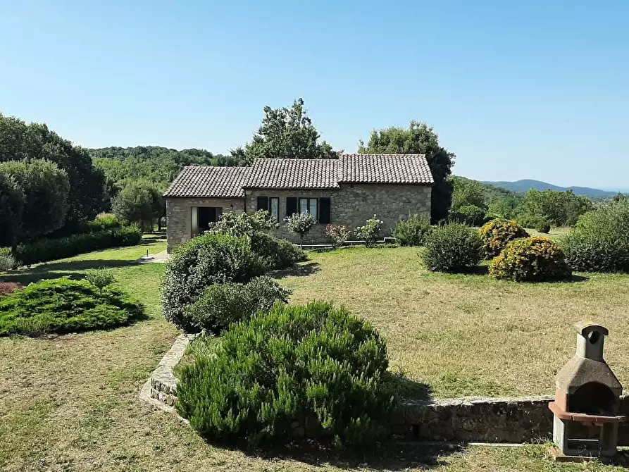 Immagine 28 di Casa colonica in vendita  a Monteverdi Marittimo
