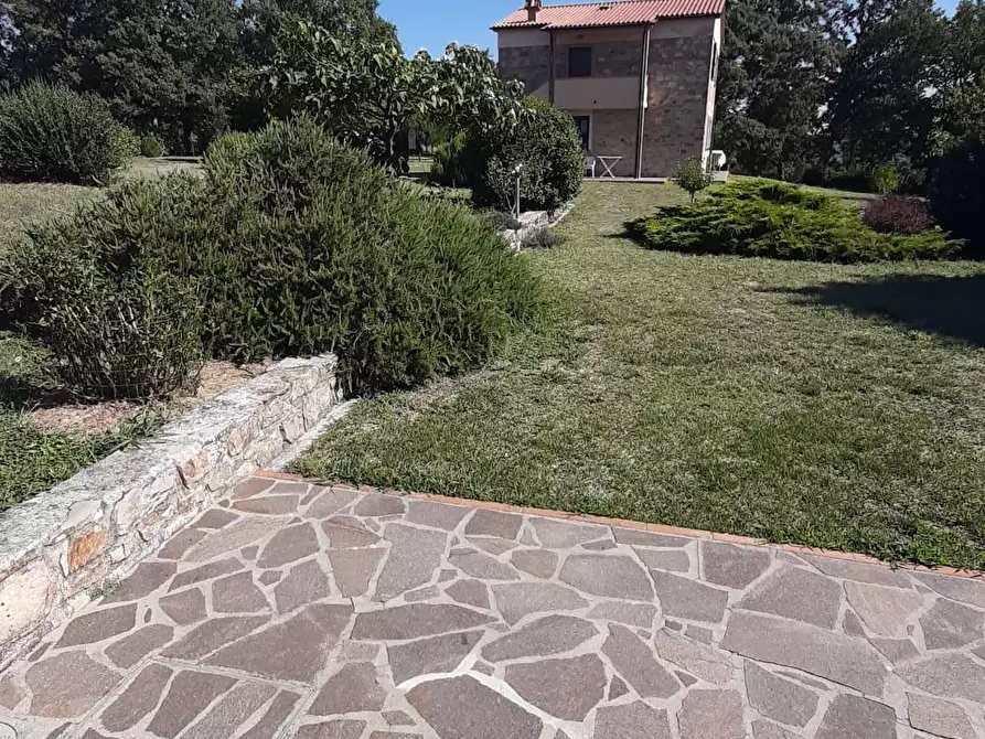 Immagine 31 di Casa colonica in vendita  a Monteverdi Marittimo