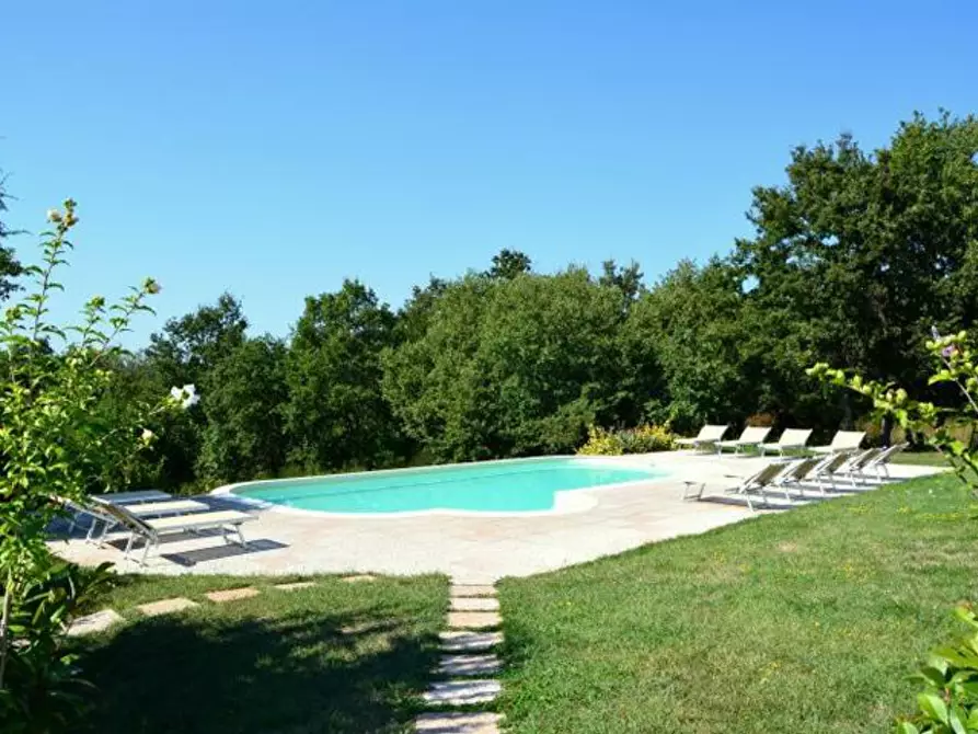 Immagine 15 di Casa colonica in vendita  a Monteverdi Marittimo