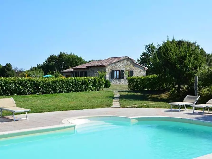 Immagine 3 di Casa colonica in vendita  a Monteverdi Marittimo