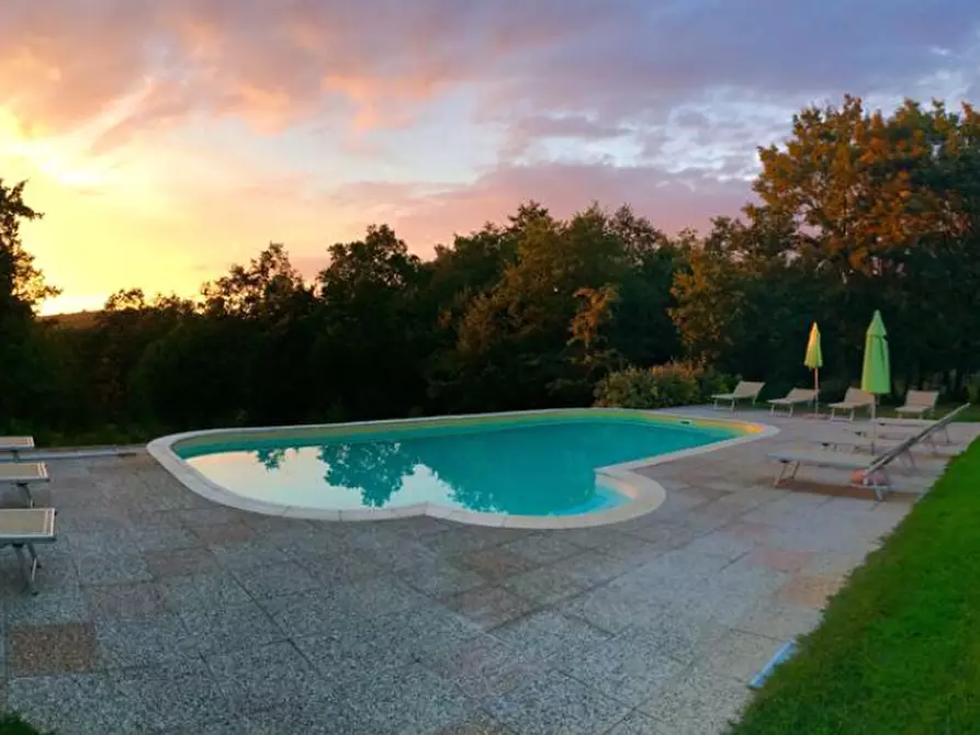 Immagine 4 di Casa colonica in vendita  a Monteverdi Marittimo