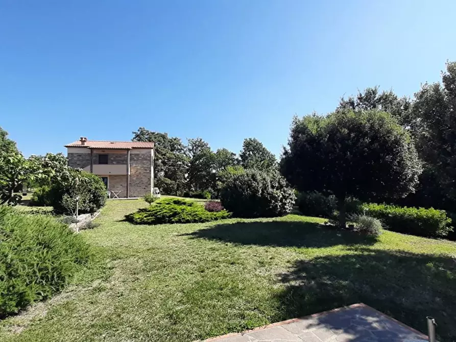 Immagine 44 di Casa colonica in vendita  a Monteverdi Marittimo