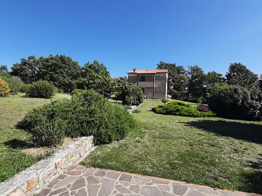 Immagine 29 di Casa colonica in vendita  a Monteverdi Marittimo