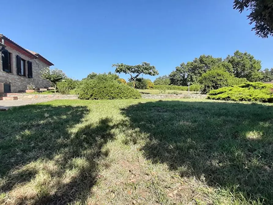 Immagine 38 di Casa colonica in vendita  a Monteverdi Marittimo