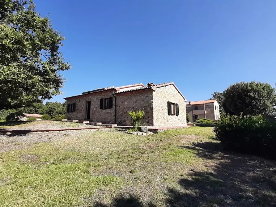 Immagine 42 di Casa colonica in vendita  a Monteverdi Marittimo