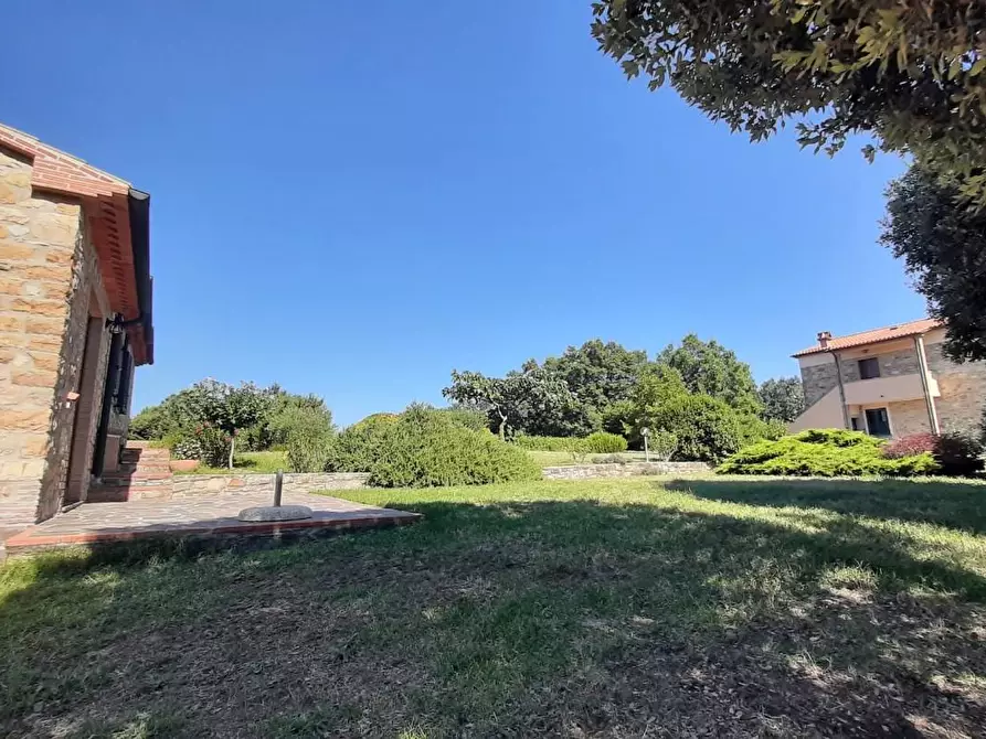 Immagine 33 di Casa colonica in vendita  a Monteverdi Marittimo