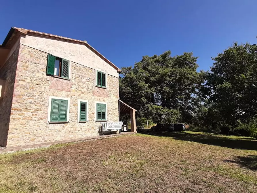 Immagine 45 di Casa colonica in vendita  a Monteverdi Marittimo
