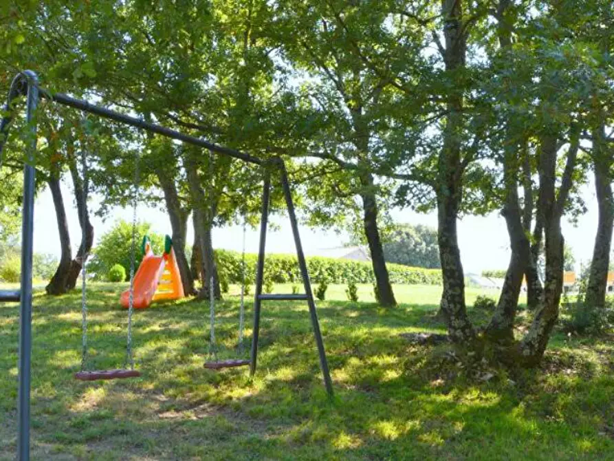 Immagine 14 di Casa colonica in vendita  a Monteverdi Marittimo