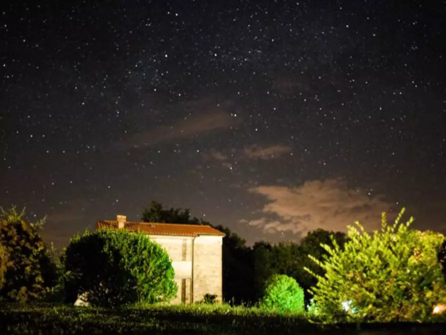 Immagine 16 di Casa colonica in vendita  a Monteverdi Marittimo