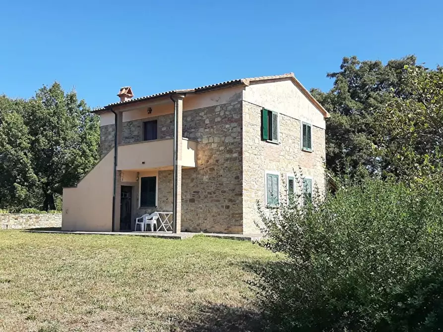 Immagine 27 di Casa colonica in vendita  a Monteverdi Marittimo