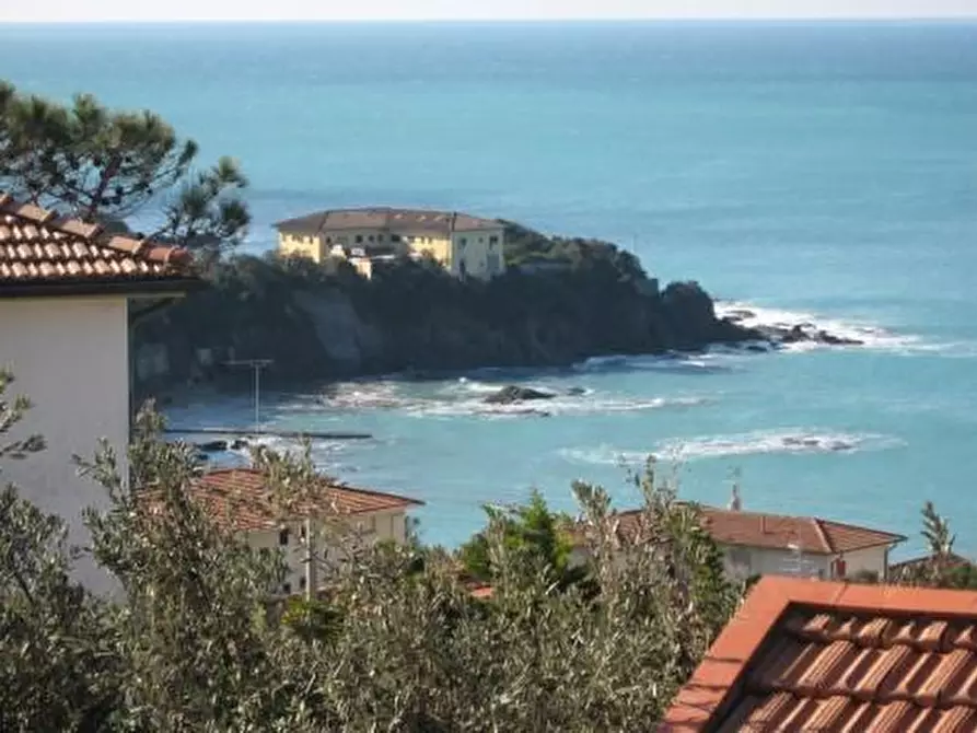 Immagine 3 di Locale commerciale in vendita  a Rosignano Marittimo