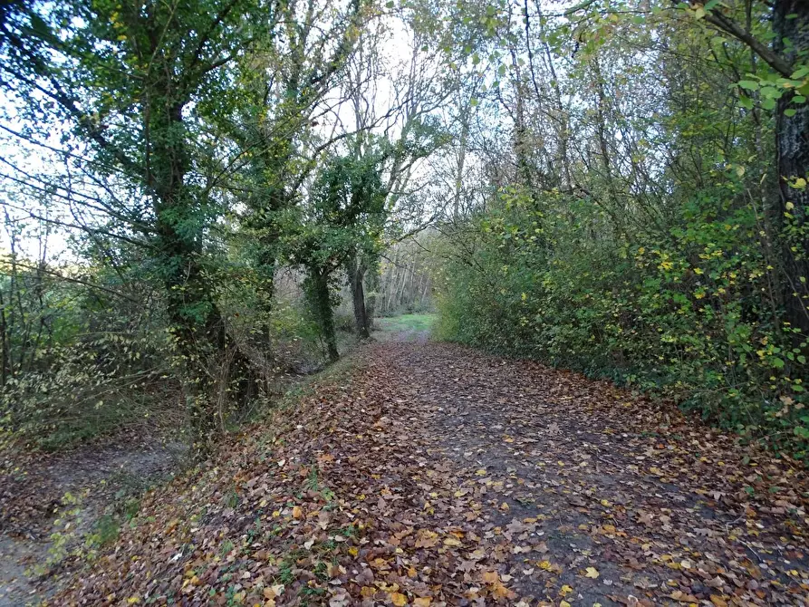 Immagine 16 di Casa indipendente in vendita  a San Miniato