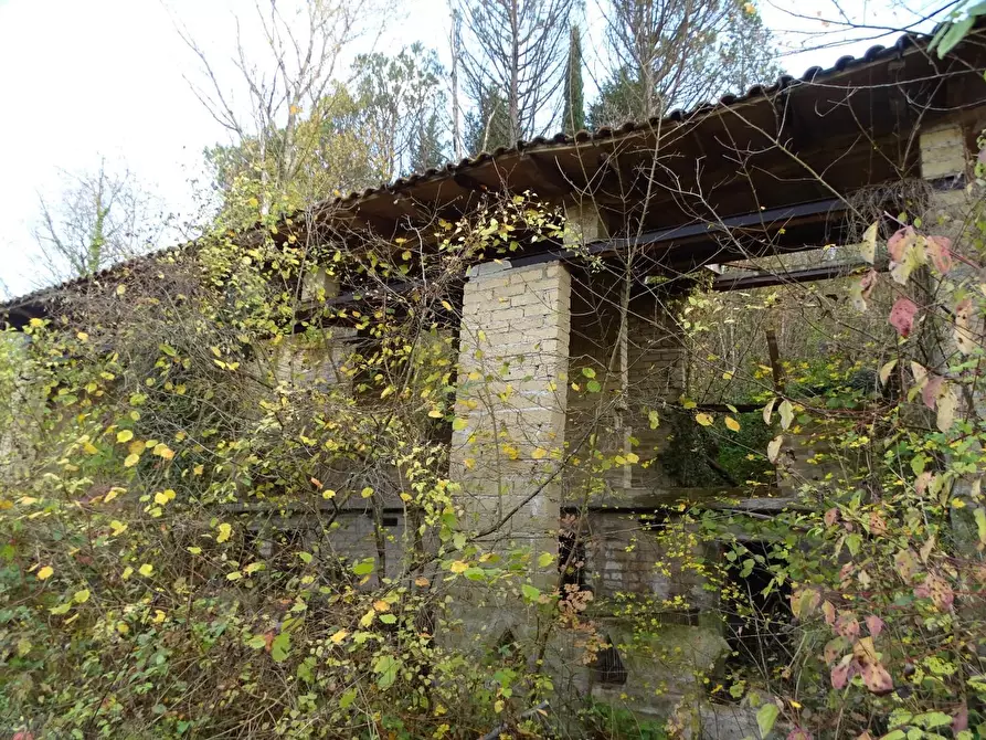 Immagine 7 di Casa indipendente in vendita  a San Miniato