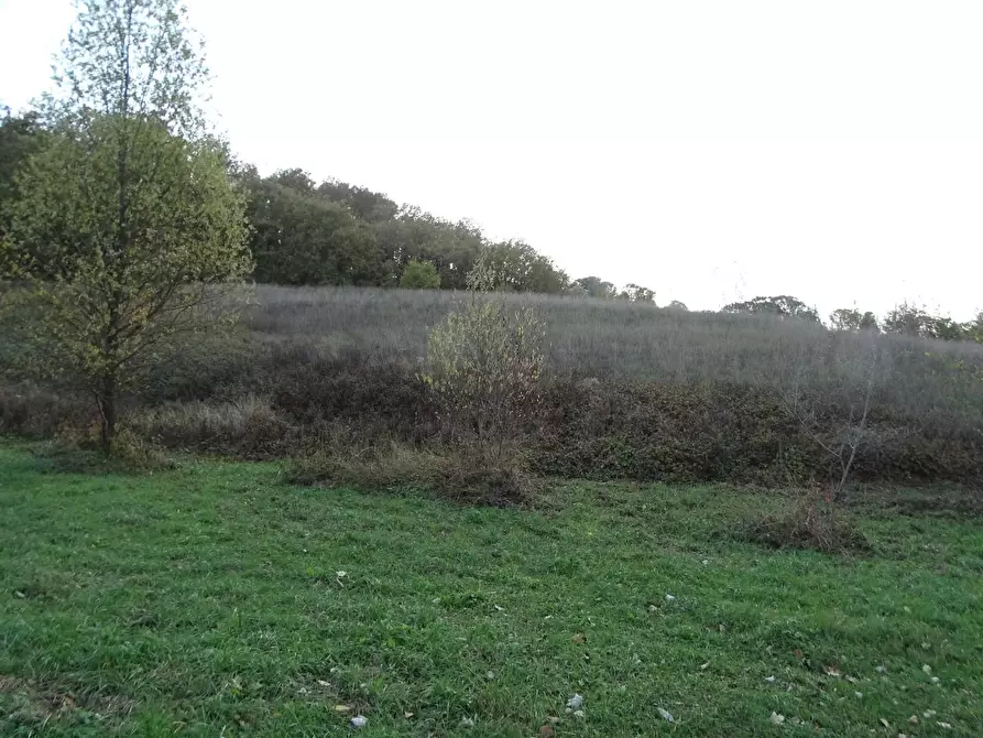 Immagine 21 di Casa indipendente in vendita  a San Miniato