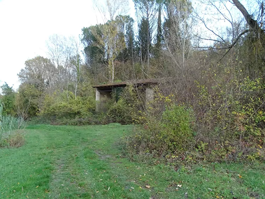 Immagine 10 di Casa indipendente in vendita  a San Miniato