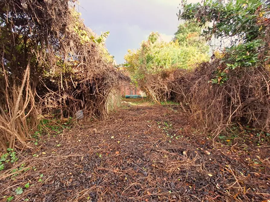 Immagine 3 di Casa semindipendente in vendita  a Capannori