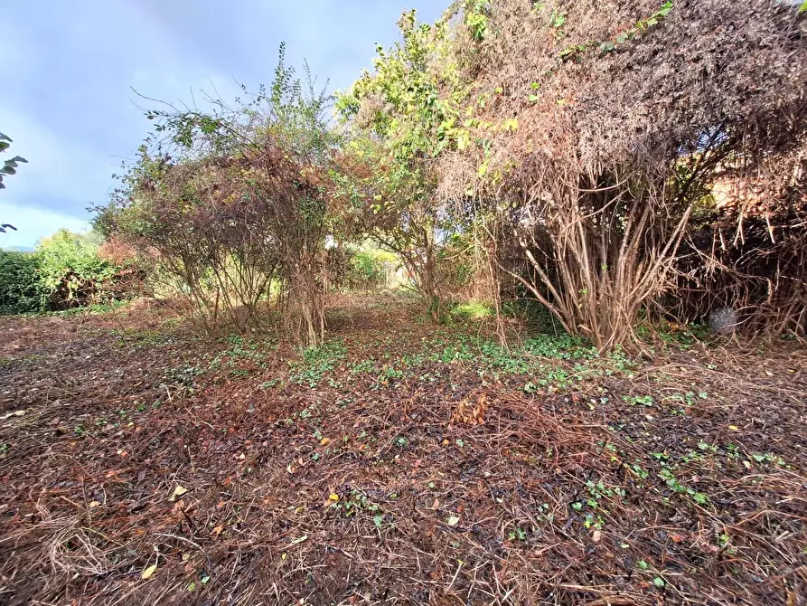 Immagine 20 di Casa semindipendente in vendita  a Capannori