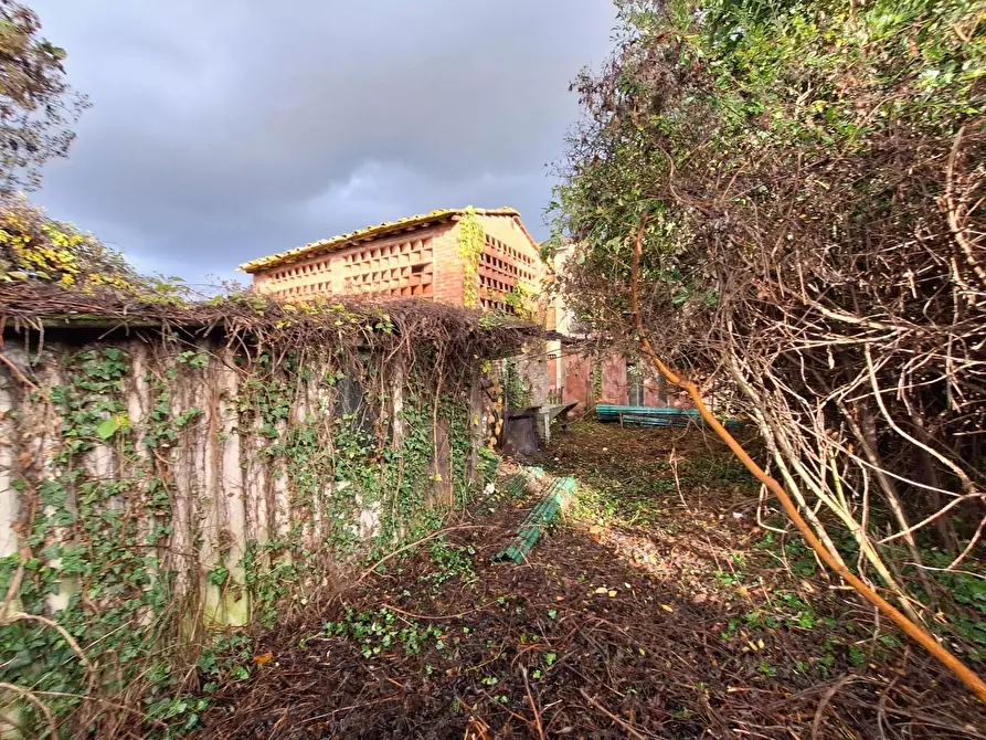Immagine 4 di Casa semindipendente in vendita  a Capannori