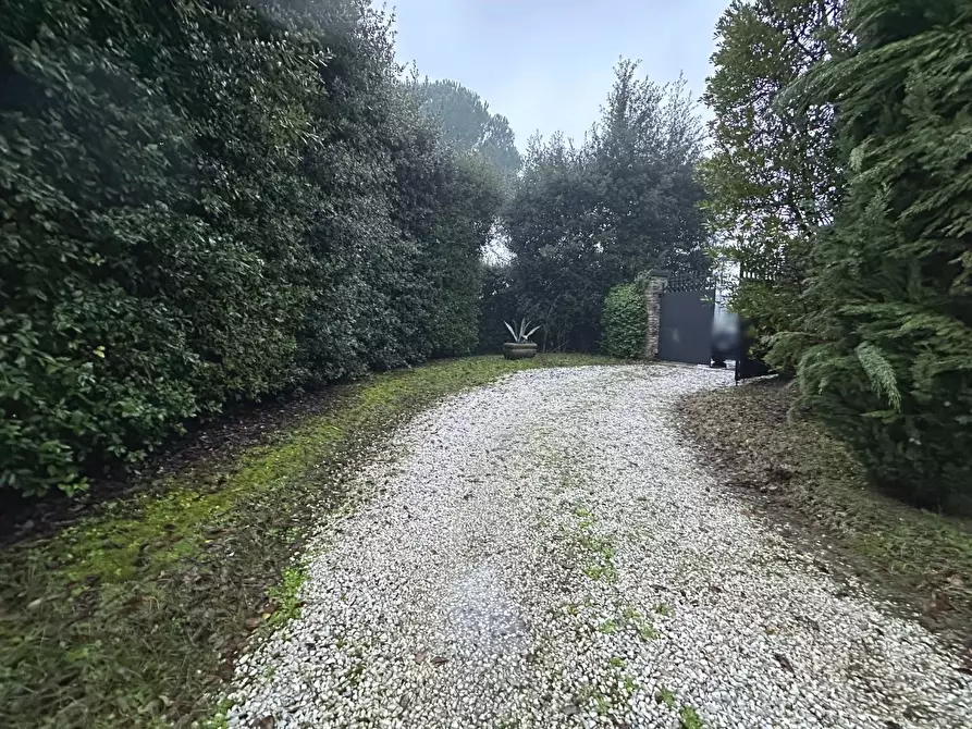 Immagine 27 di Villa in vendita  a Capannori
