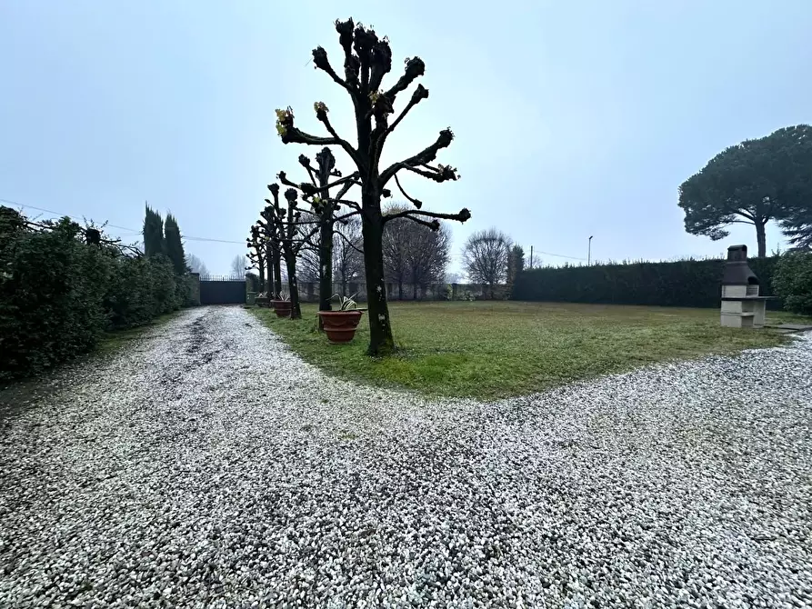 Immagine 24 di Villa in vendita  a Capannori