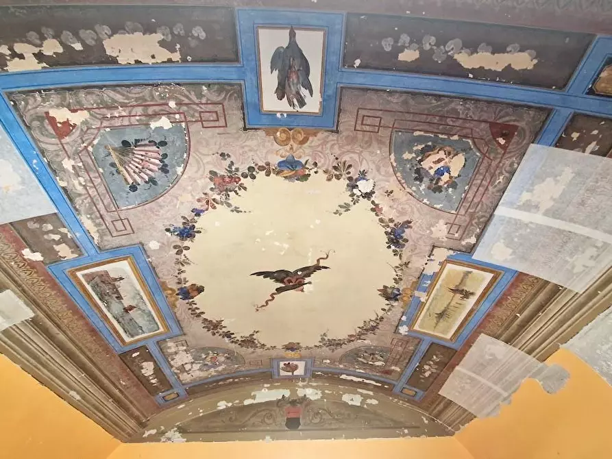 Immagine 43 di Appartamento in vendita  a Pisa
