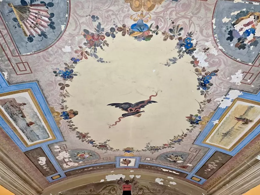 Immagine 32 di Terratetto in vendita  a Pisa