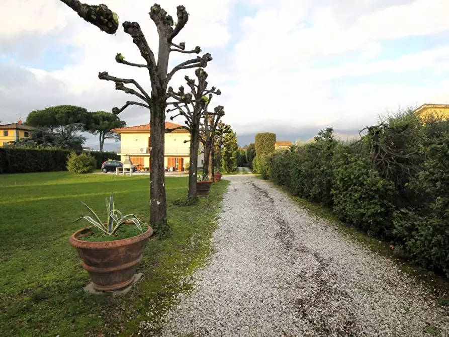 Immagine 5 di Villa in vendita  a Capannori