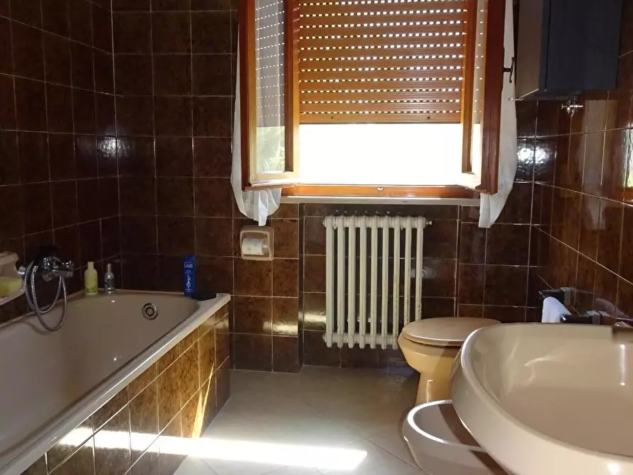 Immagine 13 di Casa bifamiliare in vendita  a Buti