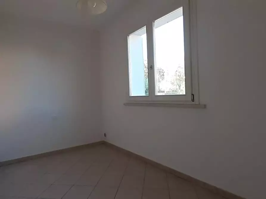 Immagine 5 di Villa in vendita  a Terricciola