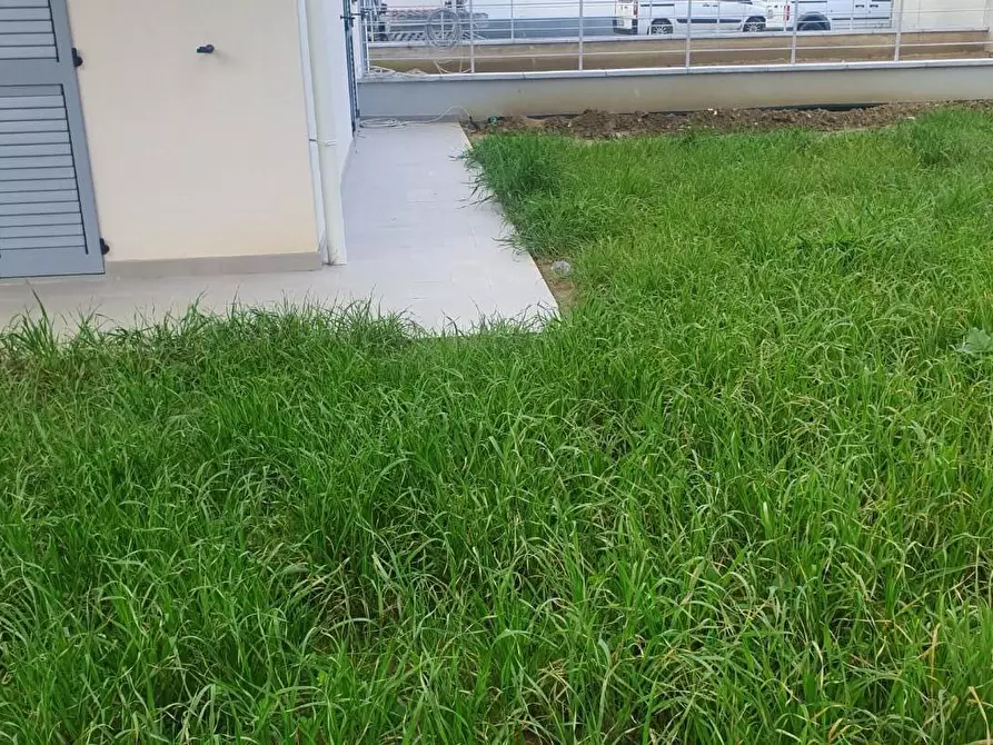 Immagine 16 di Appartamento in vendita  a Empoli