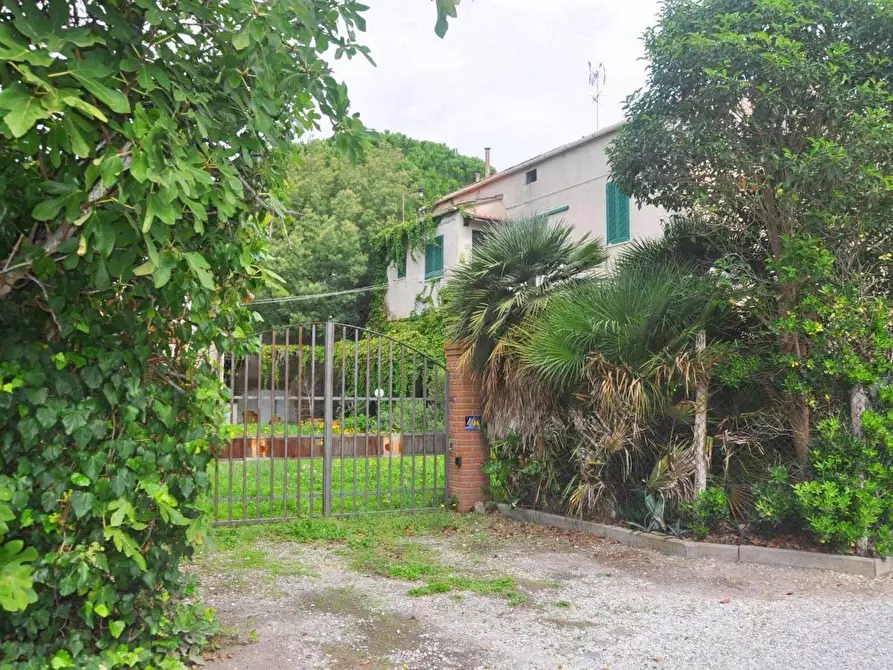 Immagine 1 di Casa bifamiliare in vendita  a Cecina