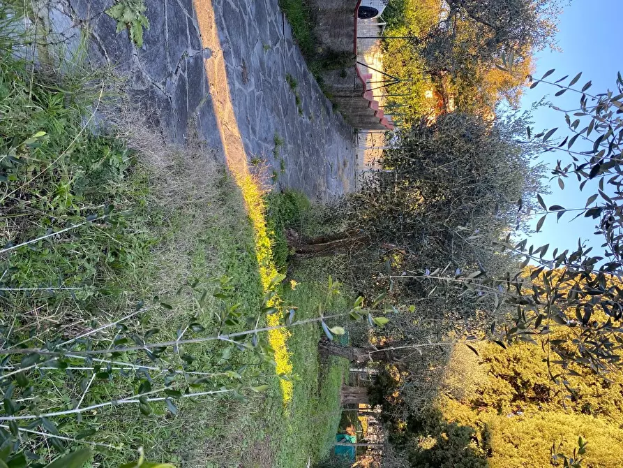 Immagine 2 di Casa bifamiliare in vendita  a Massarosa