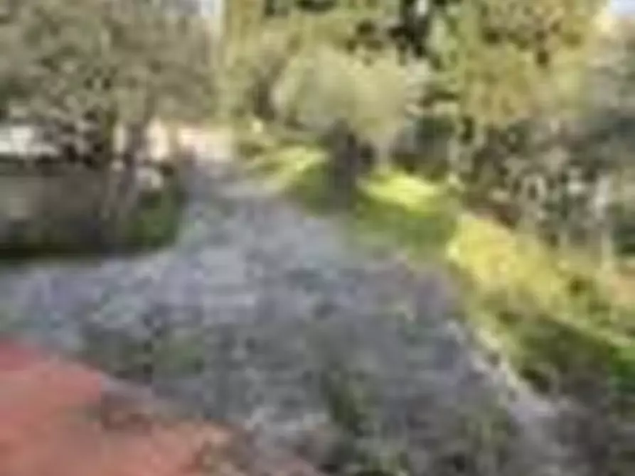 Immagine 31 di Casa bifamiliare in vendita  a Massarosa