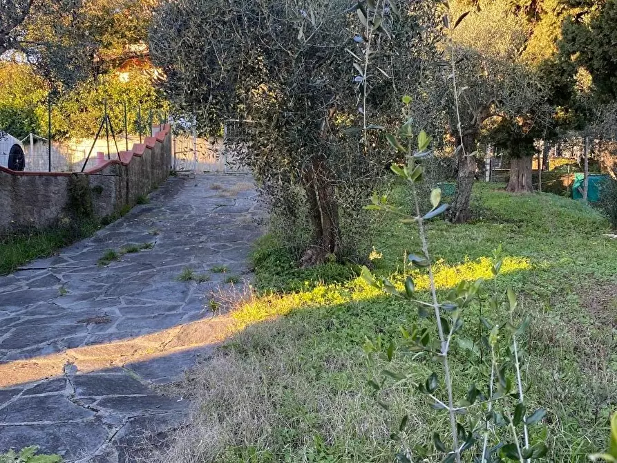 Immagine 2 di Casa bifamiliare in vendita  a Massarosa