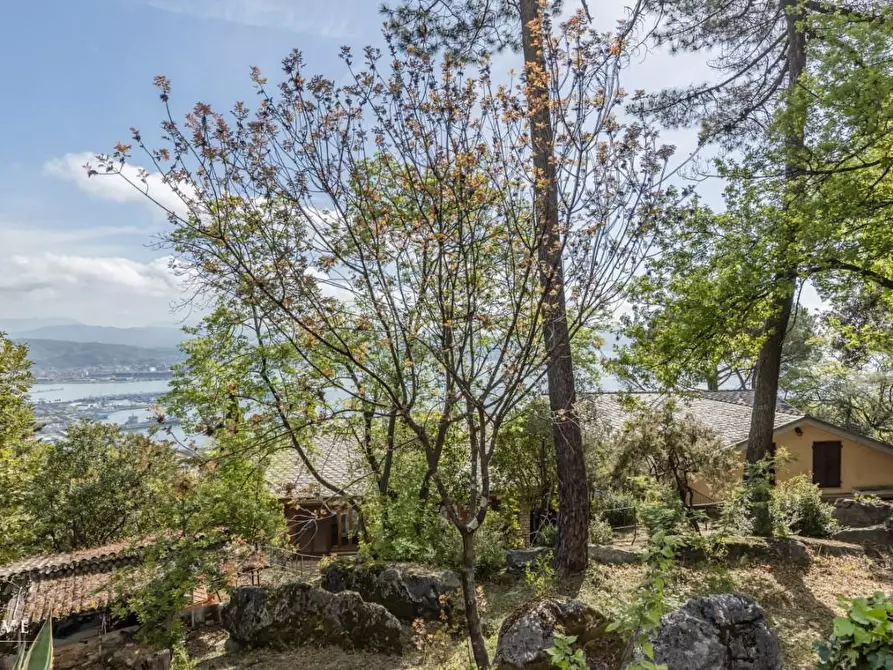 Immagine 18 di Villa in vendita  a La Spezia