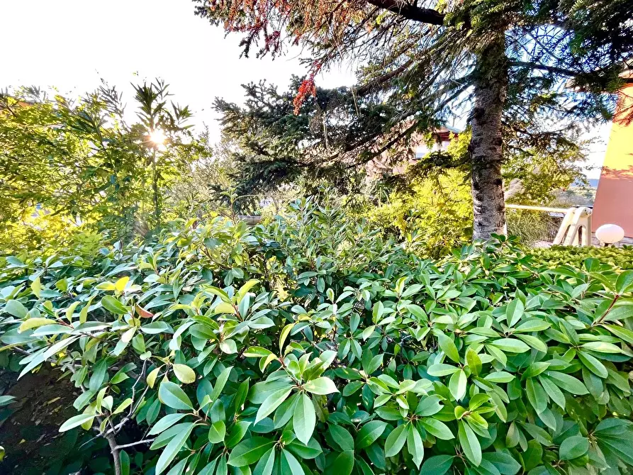 Immagine 14 di Villa in vendita  a Montopoli In Val D'arno