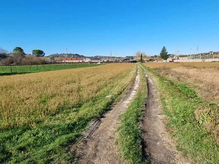Immagine 1 di Terreno agricolo in vendita  a Fauglia