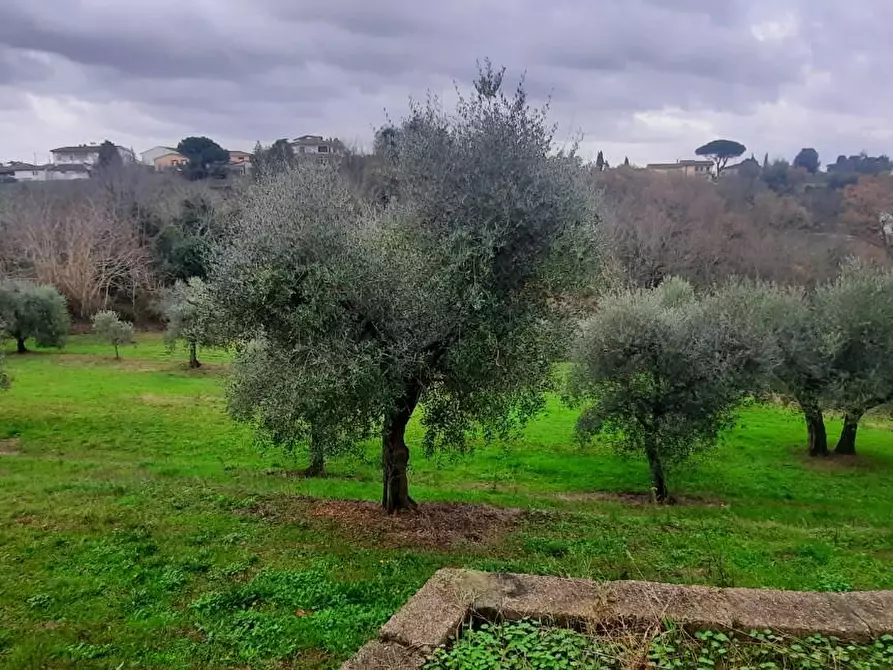 Immagine 6 di Casa indipendente in vendita  a Santa Maria A Monte