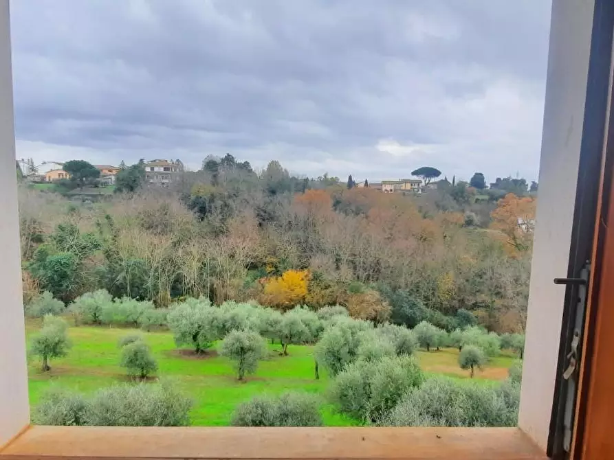 Immagine 4 di Casa indipendente in vendita  a Santa Maria A Monte