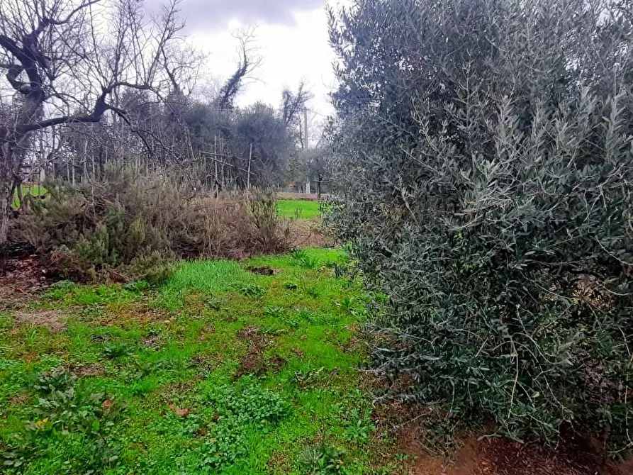 Immagine 5 di Casa indipendente in vendita  a Santa Maria A Monte