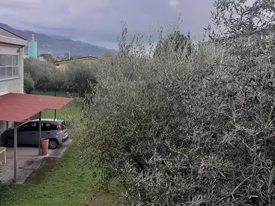 Immagine 6 di Casa indipendente in vendita  a Massa