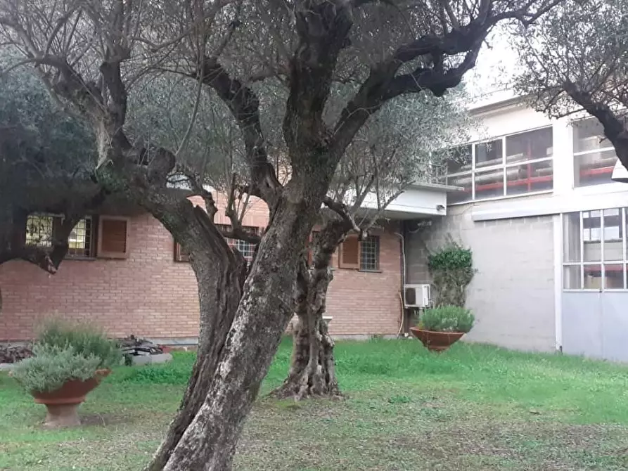 Immagine 2 di Casa indipendente in vendita  a Massa