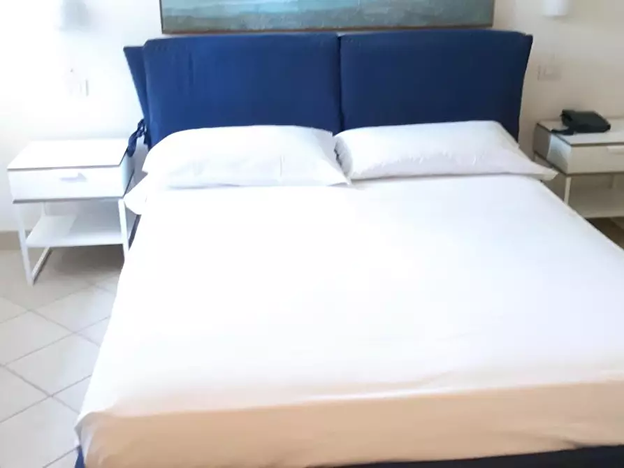 Immagine 11 di Appartamento in vendita  a Pietrasanta