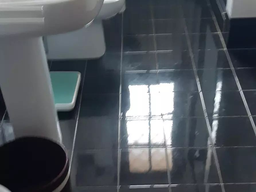 Immagine 27 di Villa in affitto  a Forte Dei Marmi