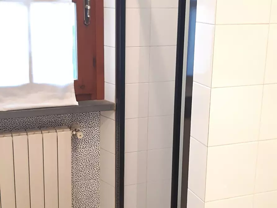 Immagine 25 di Villa in affitto  a Forte Dei Marmi