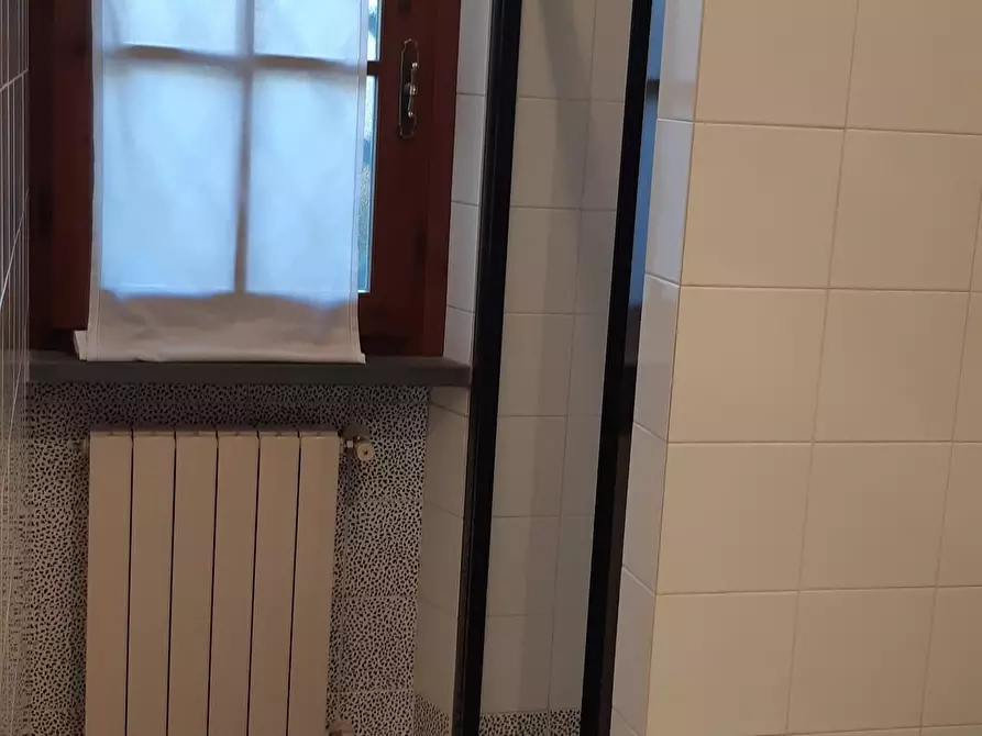 Immagine 23 di Villa in affitto  a Forte Dei Marmi