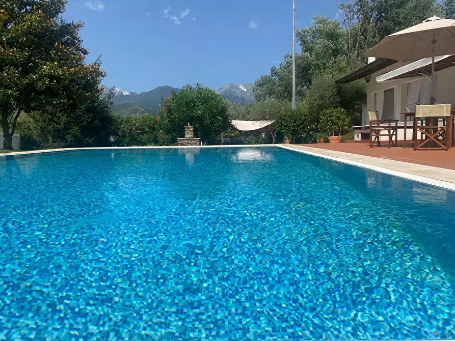 Immagine 11 di Villa in affitto  a Forte Dei Marmi