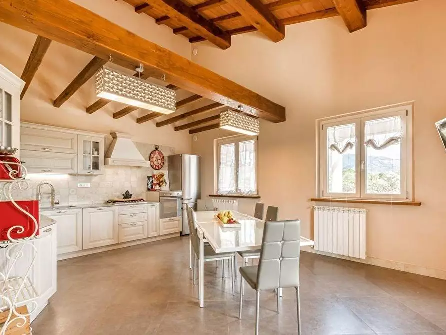 Immagine 25 di Villa in affitto  a Seravezza